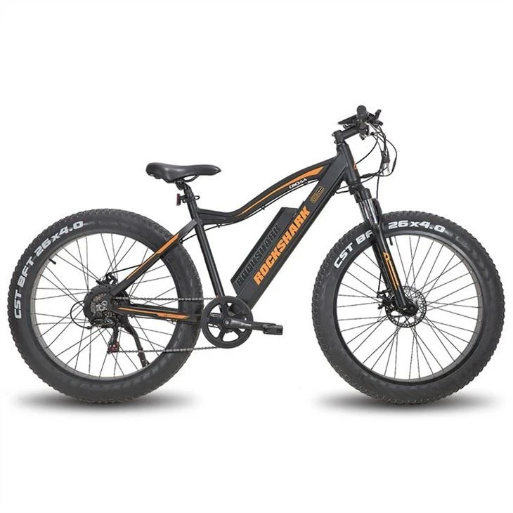 Electric Mountain Bike price