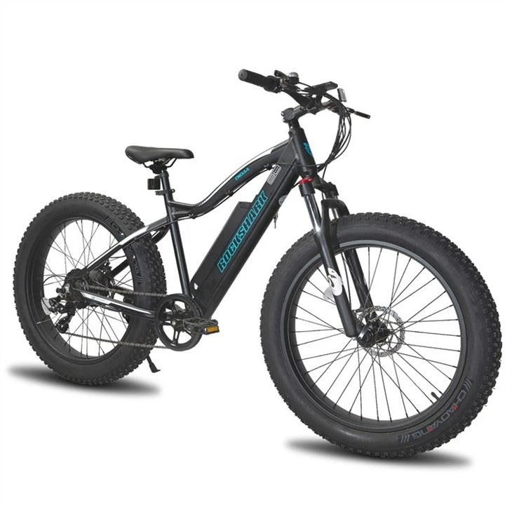 Electric Mountain Bike in stock