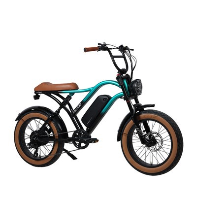 Bicicleta eléctrica con tracción trasera, horquilla de suspensión de aleación de 48V y 500W
