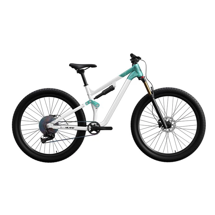 Chinese Mountain Bikes Bicycle Mountain Bike 29