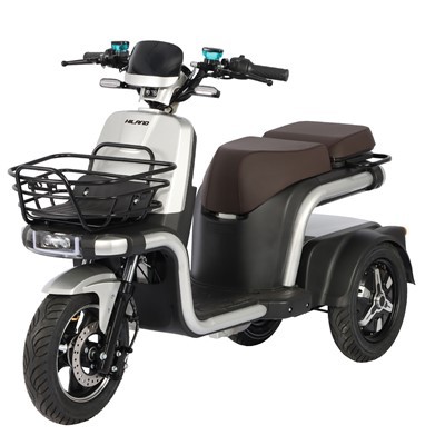 Bicicleta eléctrica con triciclo de dos motores 800w*2